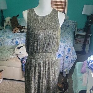 Banana Republic Metallic Maxi Dress SZ 12